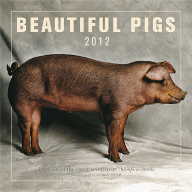 BEAUTIFUL PIGS 2012