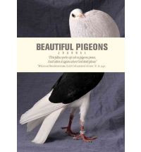 BEAUTIFUL PIGEONS JOURNAL
