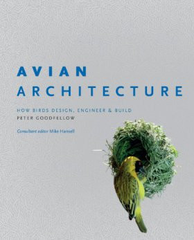 AVIAN ARCHITECTURE