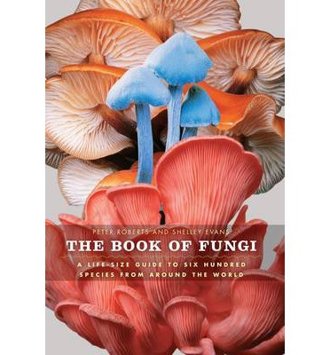 THE BOOK OF FUNGI