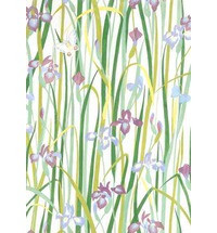 FLORALS NOTECARDS ORIGINAL DESIGNS FROM THE ARCHIVES OF SUSAN COLLIER AND SARAH CAMPBELL