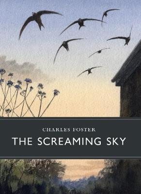 THE SCREAMING SKY