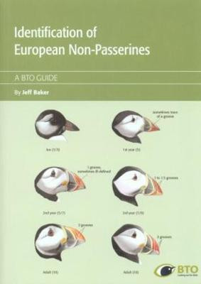 IDENTIFICATION OF EUROPEAN NON PASSERINES
