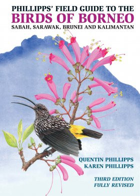 PHILLIPPS FIELD GUIDE TO THE BIRDS OF BORNEO