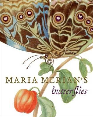 MARIA MERIAN S BUTTERFLIES