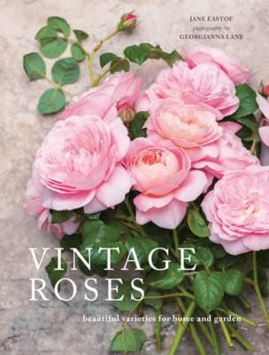 VINTAGE ROSES