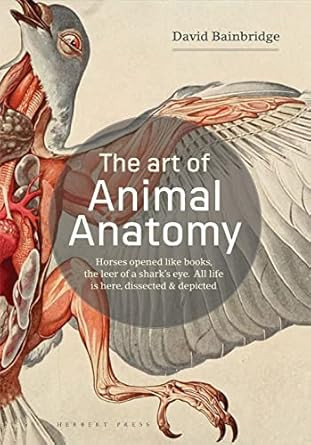 THE ART OF ANIMAL ANATOMY