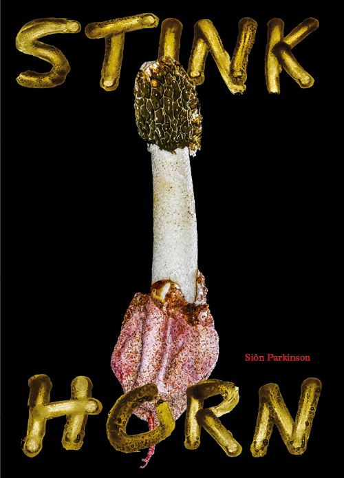 STINK HORN