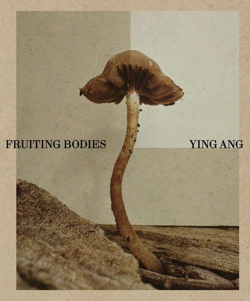 FRUITING BODIES