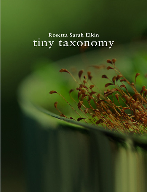 TINY TAXONOMY