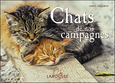 CHATS DE NOS CAMPAGNES