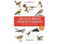 LES PLUS BEAUX CHANTS D OISEAUX