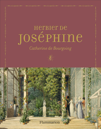 HERBIER DE JOSEPHINE