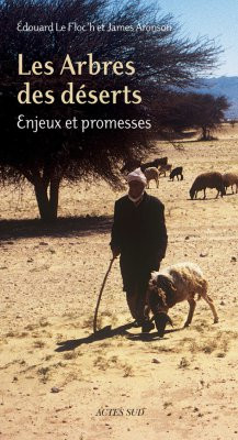 LES ARBRES DES DESERTS