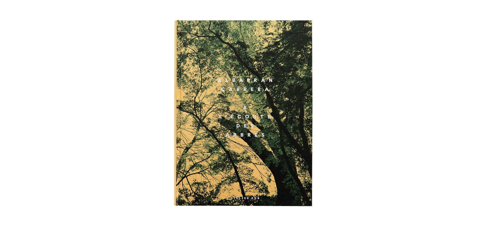 ON LISTENING TO TREES