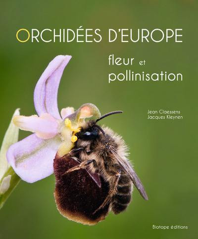 ORCHIDEES D EUROPE