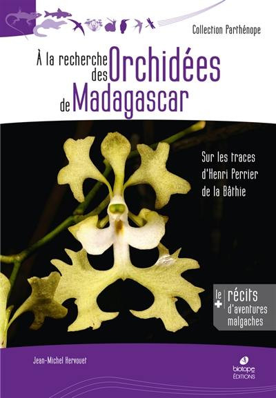 A LA RECHERCHE DES ORCHIDEES DE MADAGASCAR