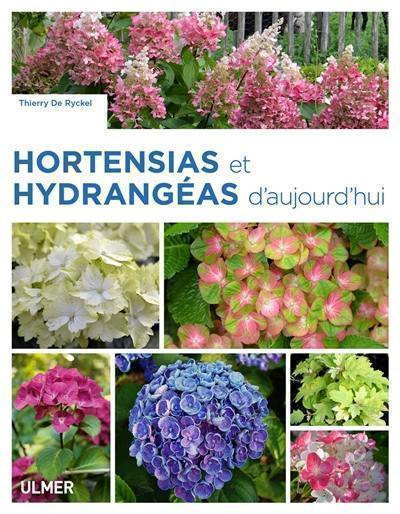 HORTENSIAS ET HYDRANGEAS D AUJOURD HUI