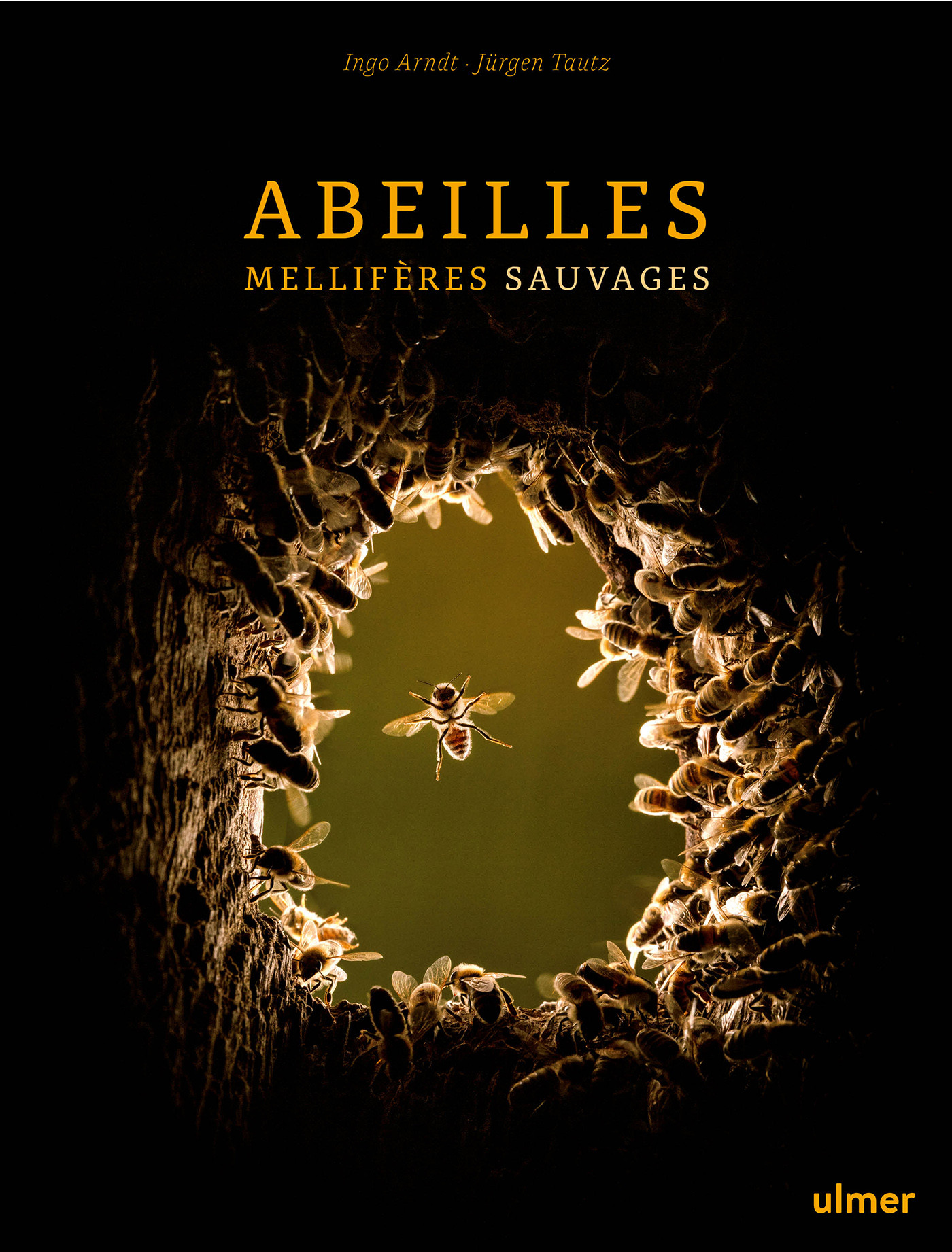 ABEILLES MELLIFERES SAUVAGES