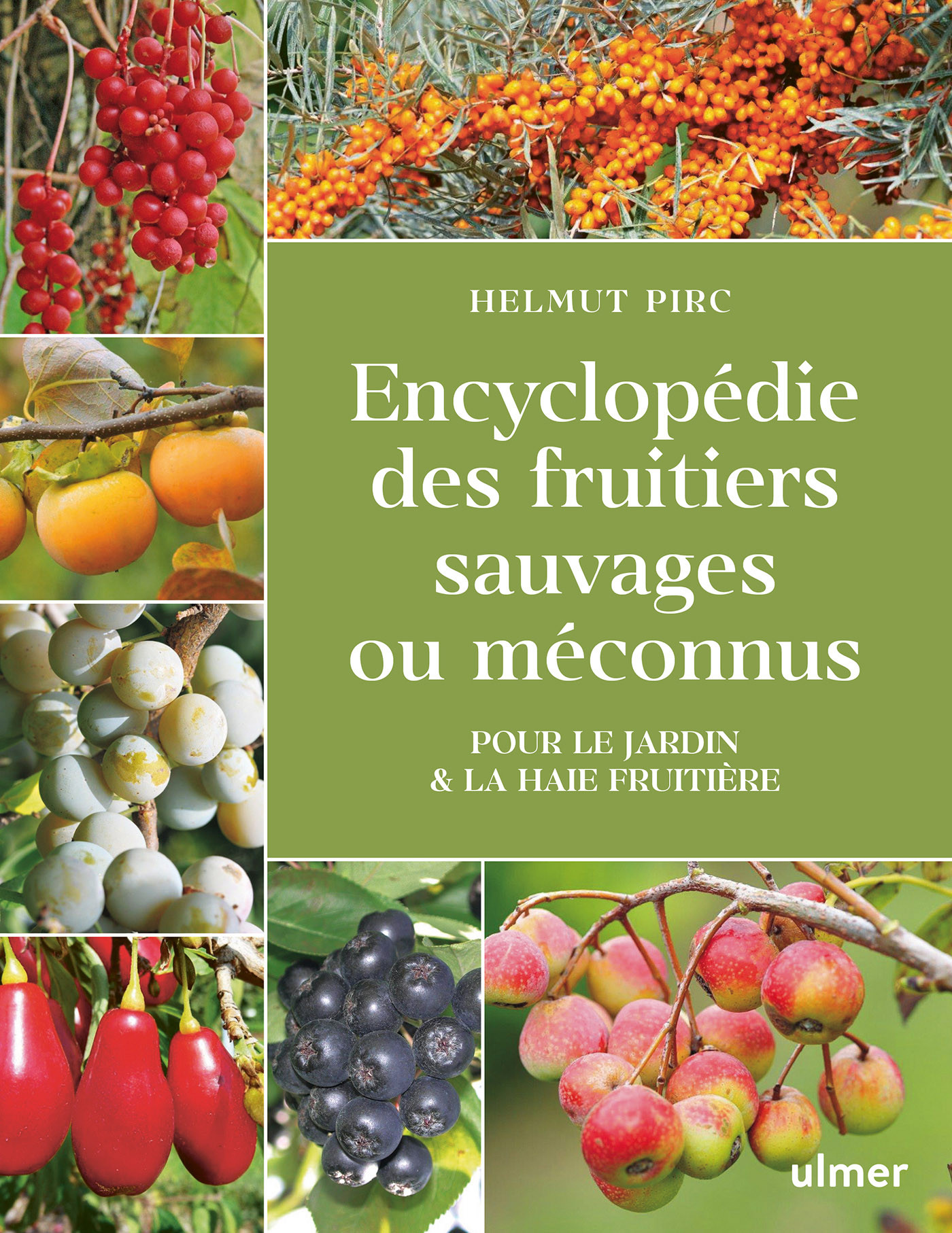 ENCYCLOPEDIE DES FRUITIERS SAUVAGES OU MECONNUS