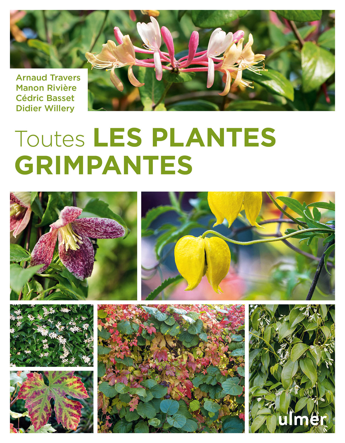 TOUTES LES PLANTES GRIMPANTES