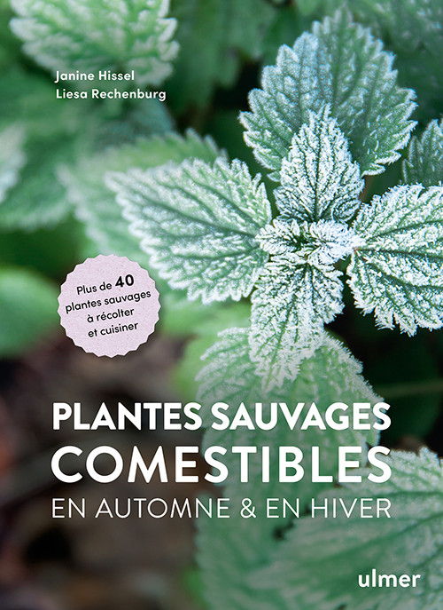 PLANTES SAUVAGES COMESTIBLES EN AUTOMNE & EN HIVER