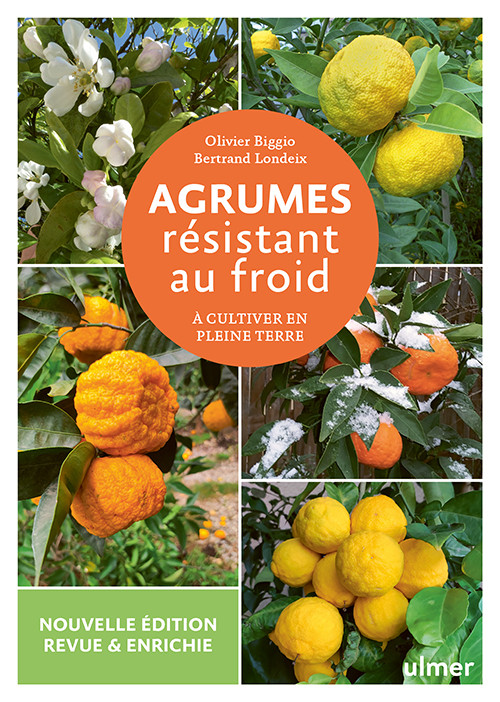 AGRUMES RÉSISTANT AU FROID