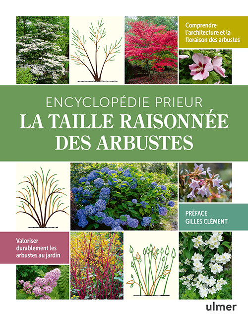 ENCICLOPEDIE PRIEUR LA TAILLE RAISONNEE DES ARBUSTES