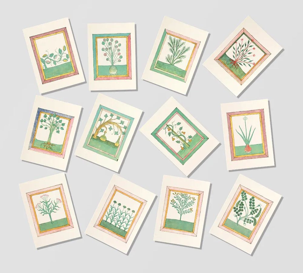 BOOK OF HERBS POSTCARD