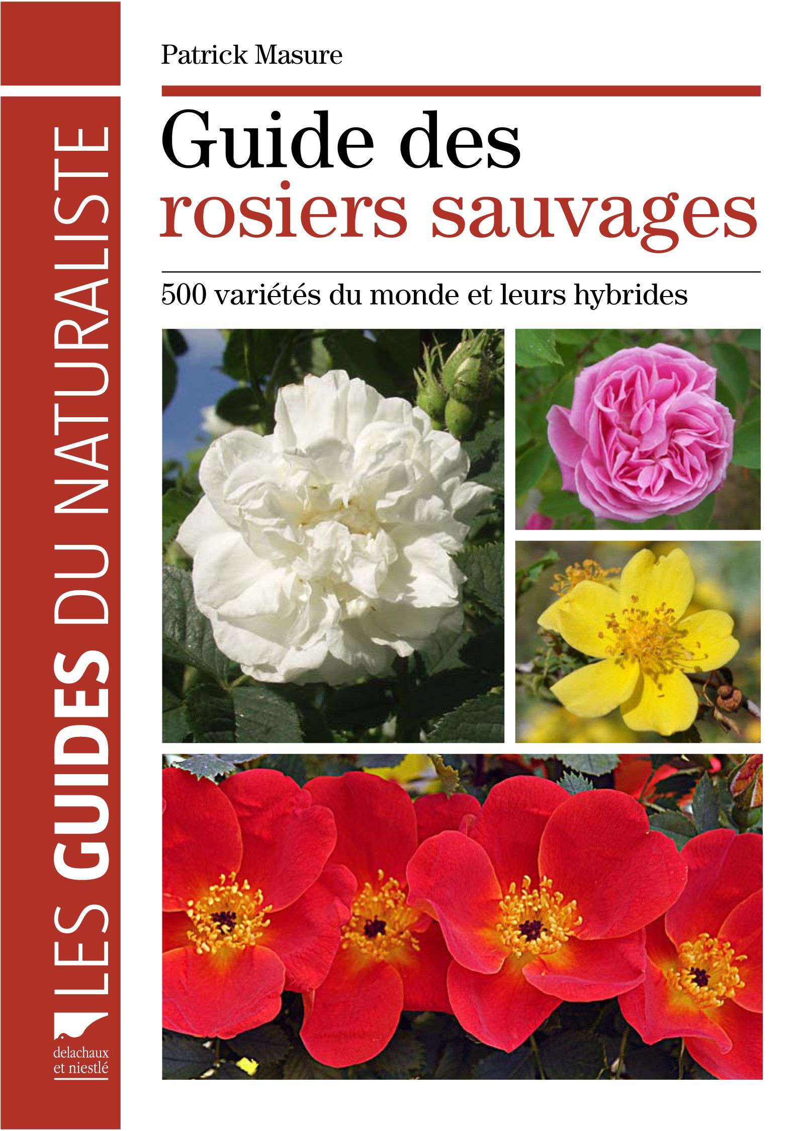 GUIDE DES ROSIERS SAUVAGES