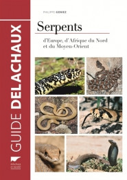 SERPENTS