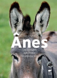 ANES