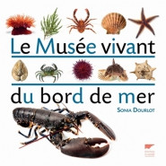 LE MUSEE VIVANT DU BORD DE MER