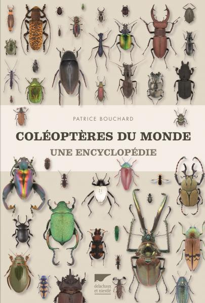 COLEOPTERES DU MONDE