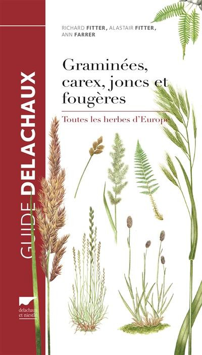 GRAMINEES CAREX JONCS ET FOUGERES