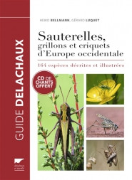 SAUTERELLES GRILLONS ET CRIQUETS D EUROPE OCCIDENTALE