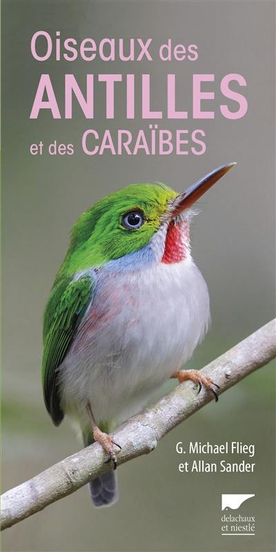 OISEAUX DES ANTILLES ET DES CARAIBES