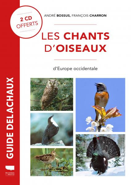 LES CHANTS D OISEAUX