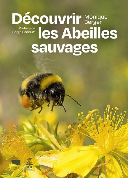 DECROUVIR LES ABEILLES SAUVAGES