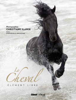 LE CHEVAL ELEMENT LIBRE