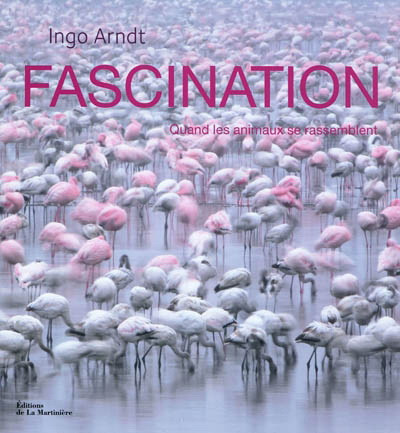 FASCINATION