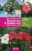 DIPLADENIA & MANDEVILLA