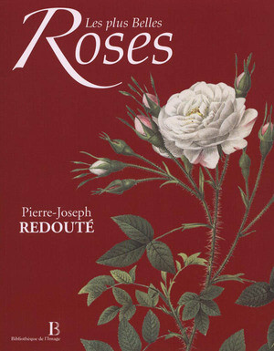 LES PLUS BELLES ROSES