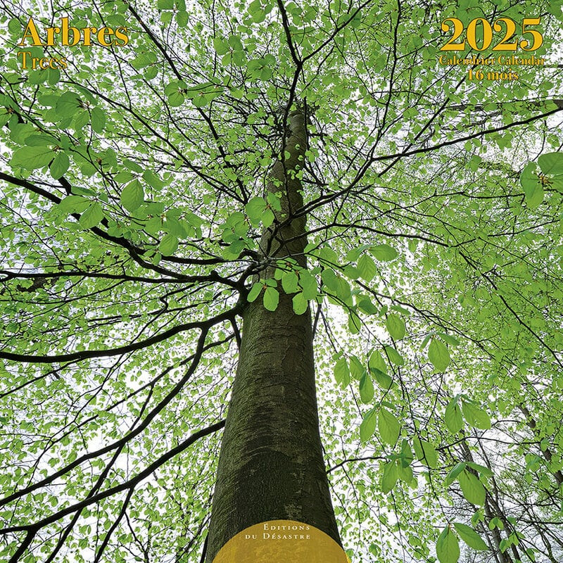 ARBRES TREES 2025 16 MESI