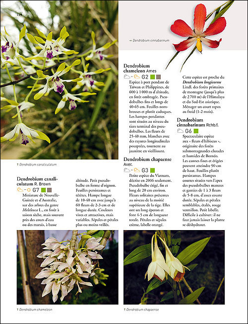 ENCICLOPEDIE DES ORCHIDEES TROPICALES