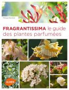 FRAGRANTISSIMA