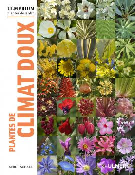 PLANTES DE CLIMAT DOUX