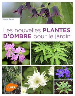 LES NOUVELLES PLANTES D OMBRE POUR LE JARDIN