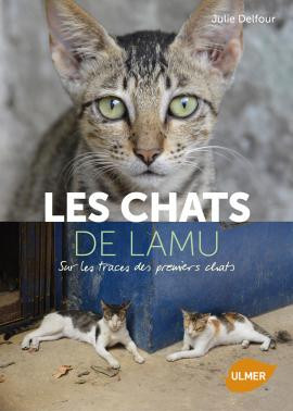 LES CHATS DE LAMU