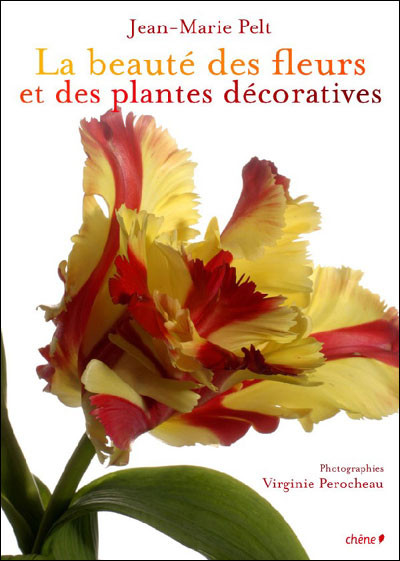 BEAUTE  DES FLEURS ET DES PLANTS DECORATIVES